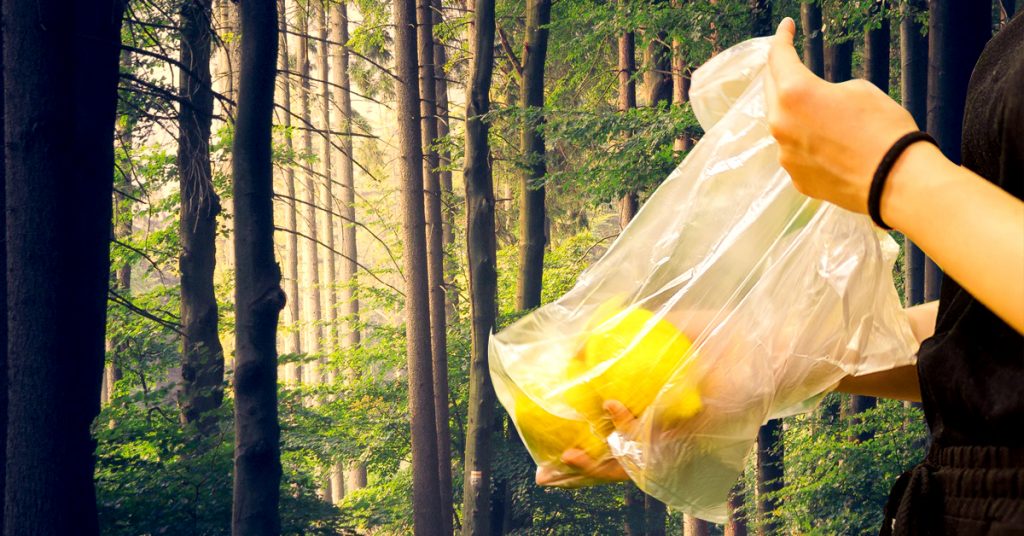 biodegradable vegetable bags